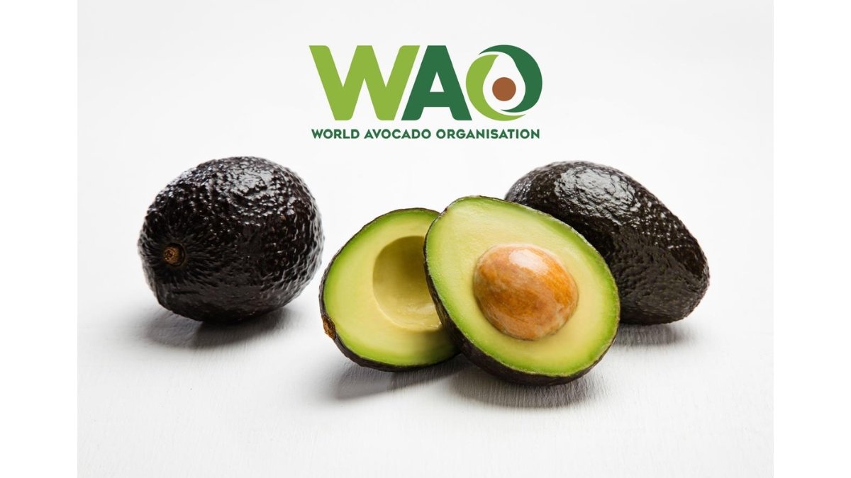 World Avocado Organisation Thanks Hon’ble Prime Minister of India for Spotlighting the Nutritional Benefits and Versatility of Avocados